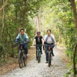 ក្រសួងវប្បធម៌ ៥