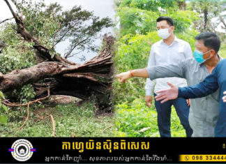 អភិបាលខេត្តត្បូងឃ្មុំ ចុះដាំដើមពោធិ៍ ដួលរលំឡើងវិញ ដែលពលរដ្ឋយល់ច្រឡំថាជាដើមពោធិ៍ប្រវត្តិសាស្រ្ត ទុំទាវ