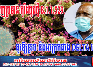 អ្នកជំនាញព្រមាន កូវីដពូជថ្មី B.1.1.529 គួរឱ្យខ្លាច និងអាក្រក់ជាង DELTA ទៅទៀត