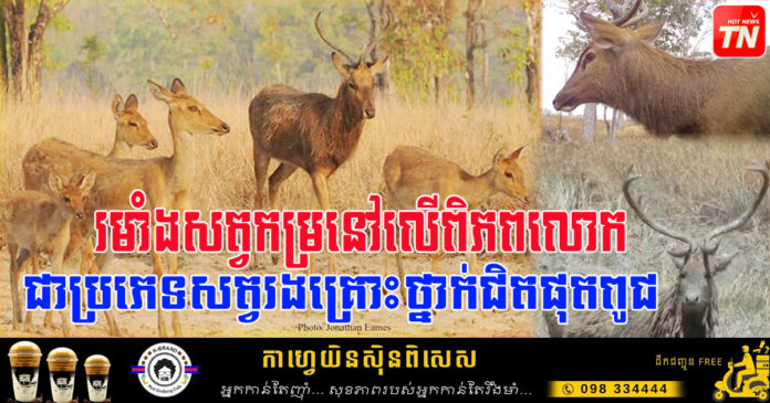 Ministry of Environment