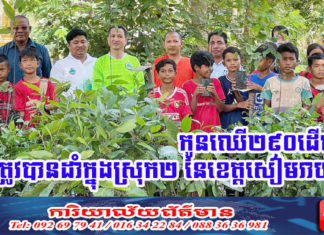 កូនឈើ២៩០ដើម ត្រូវបានដាំក្នុងស្រុកសូទ្រនិគម និងស្រុកប្រាសាទបាគង ខេត្តសៀមរាប