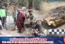 ក្រុមសិក្សាផូស៊ីល នាយកដ្ឋានតំបន់បេតិកភណ្ឌ រកឃើញហ្វូស៊ីលដើមឈើ នៅតំបន់បេតិកភណ្ឌធម្មជាតិភ្នំត្បែង