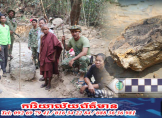 ក្រុមសិក្សាផូស៊ីល នាយកដ្ឋានតំបន់បេតិកភណ្ឌ រកឃើញហ្វូស៊ីលដើមឈើ នៅតំបន់បេតិកភណ្ឌធម្មជាតិភ្នំត្បែង