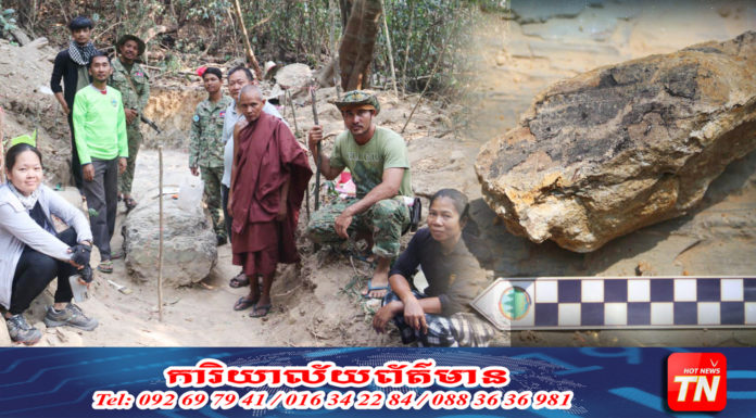 ក្រុមសិក្សាផូស៊ីល នាយកដ្ឋានតំបន់បេតិកភណ្ឌ រកឃើញហ្វូស៊ីលដើមឈើ នៅតំបន់បេតិកភណ្ឌធម្មជាតិភ្នំត្បែង